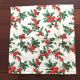 4 new Zina Vasi square cotton napkins