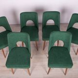 Polish Shell Chairs from Bydgoszcz Furniture Factory, 1960s, Set of 6