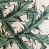 Botanical board, Ed London 1878