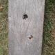 Oak farm bench