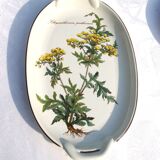 Small Batch of dishes and saucer Villeroy & Boch model Botanica