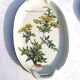 Small Batch of dishes and saucer Villeroy & Boch model Botanica