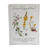 Vintage botanical board