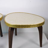 Side tables door plant 1960