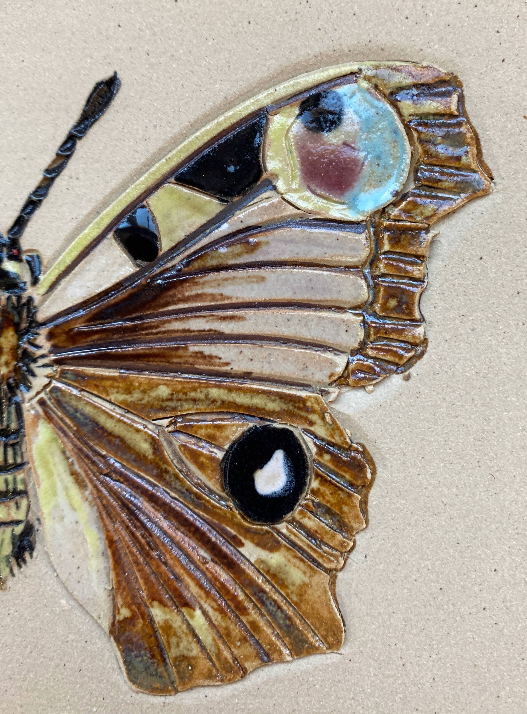 Bas relief painting / earth lepidopterology Butterflies A. Prudhomme Curiosity cabinet