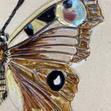 Bas relief painting / earth lepidopterology Butterflies A. Prudhomme Curiosity cabinet