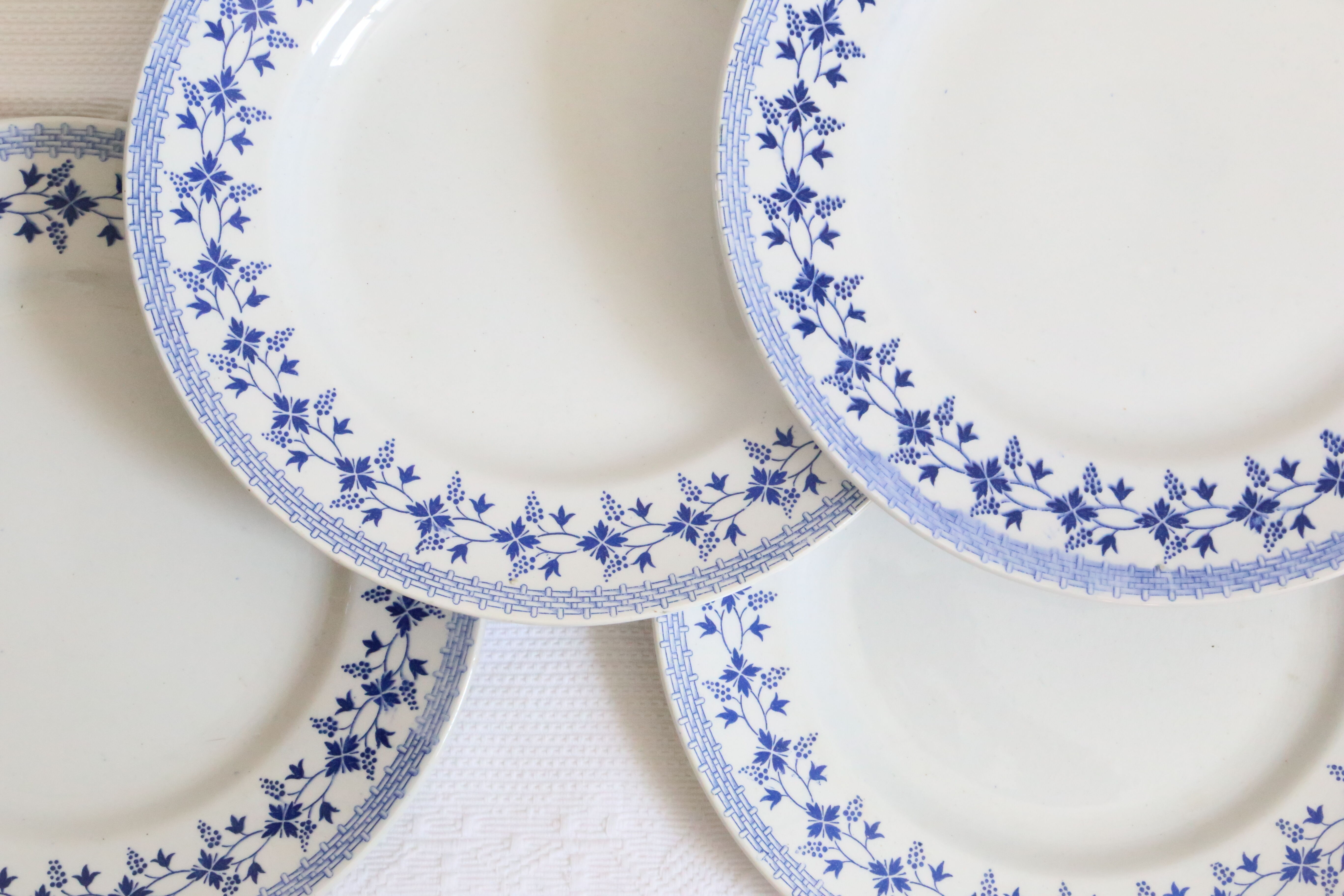 Ensemble de 9 assiettes plates, saint Amand, Bleuets, terre de fer
