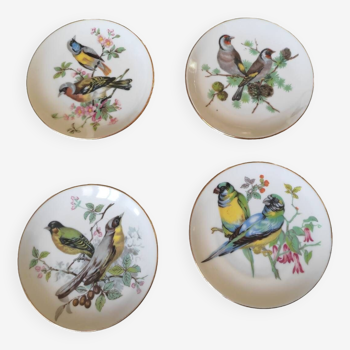 4 assiettes oiseaux