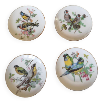 4 assiettes oiseaux