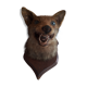 Ancient hunting trophy. Taxidermy. Good condition.