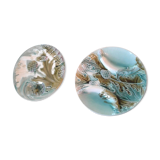 2 assiettes à aspergee, artichaud Barbotine 19 ème
