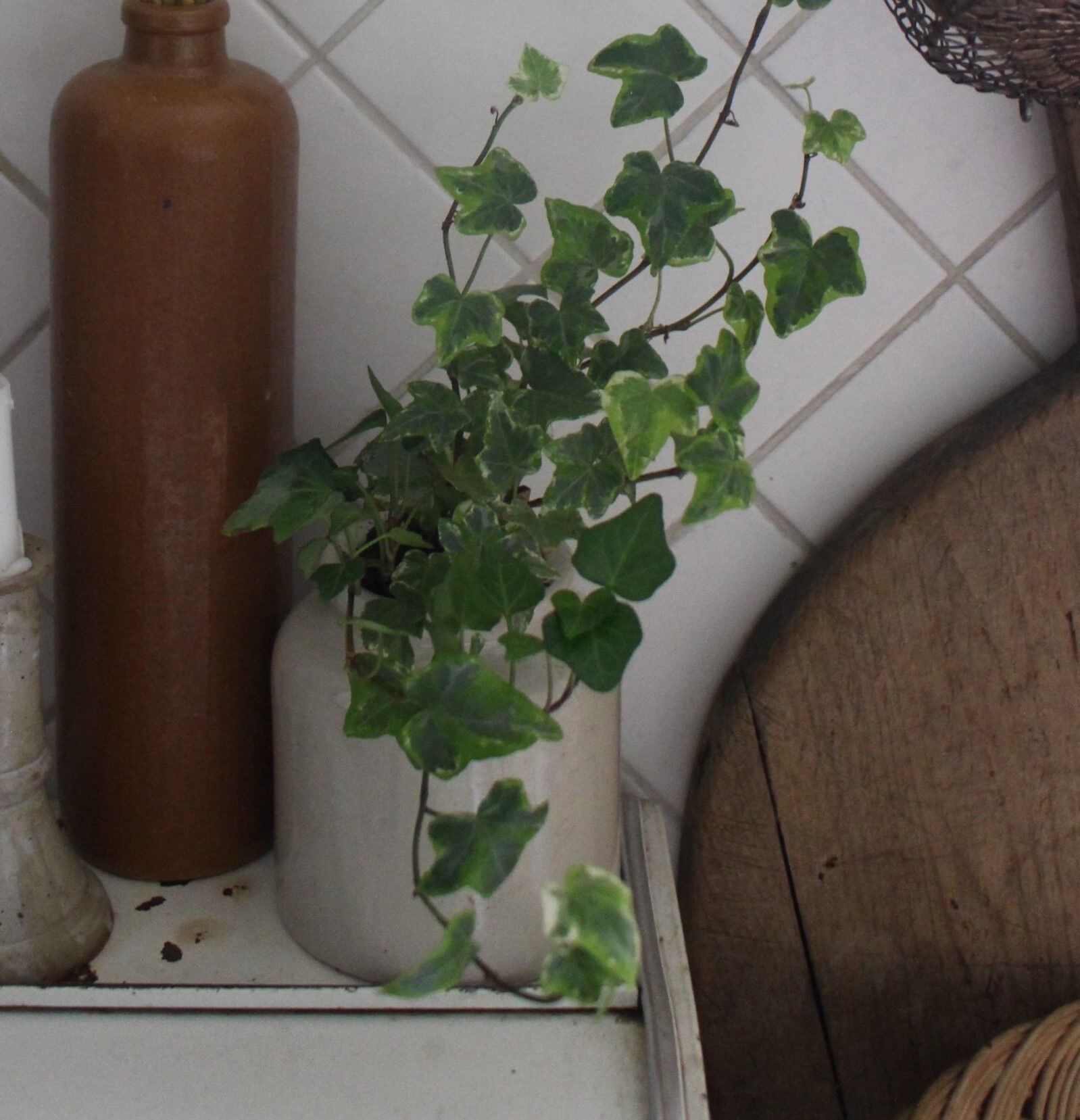 Mustard pot glazed gray sandstone