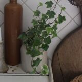 Mustard pot glazed gray sandstone