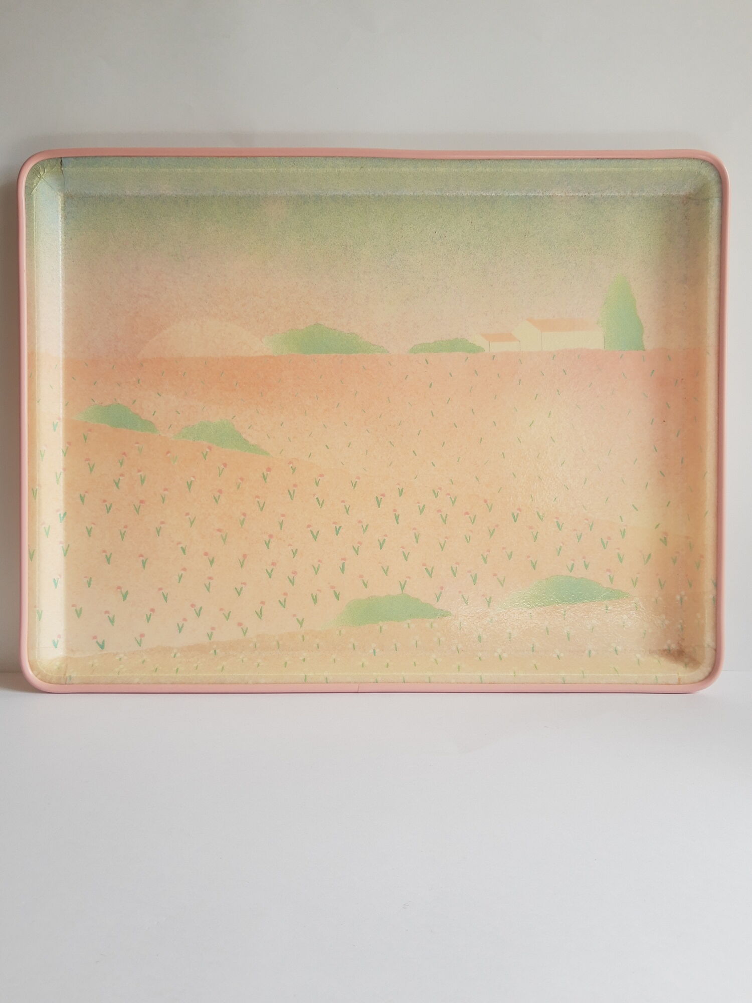 Anne stringer Alpac pink France vintage fiberglass tray
