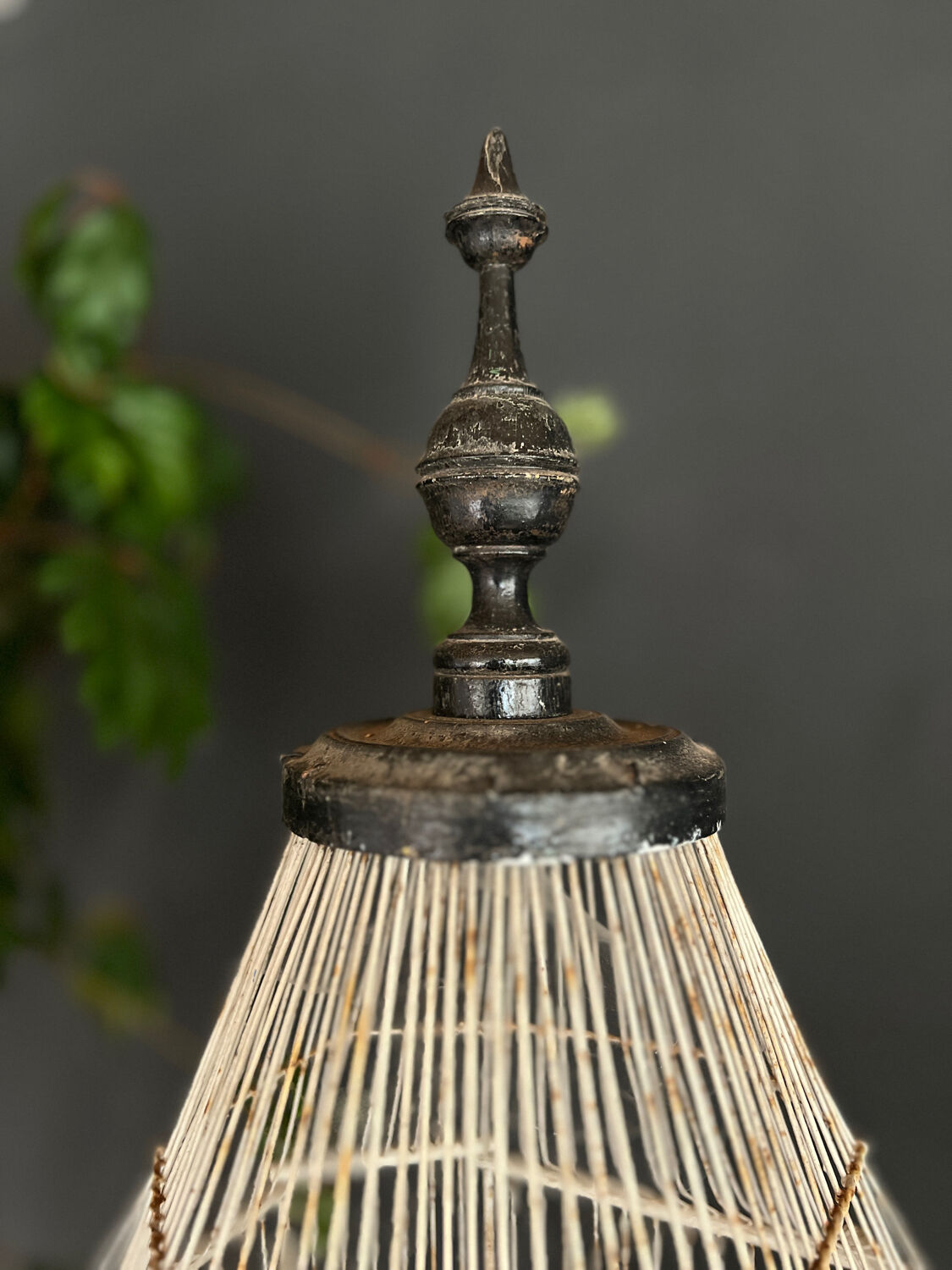 Large old cage napoleon 3