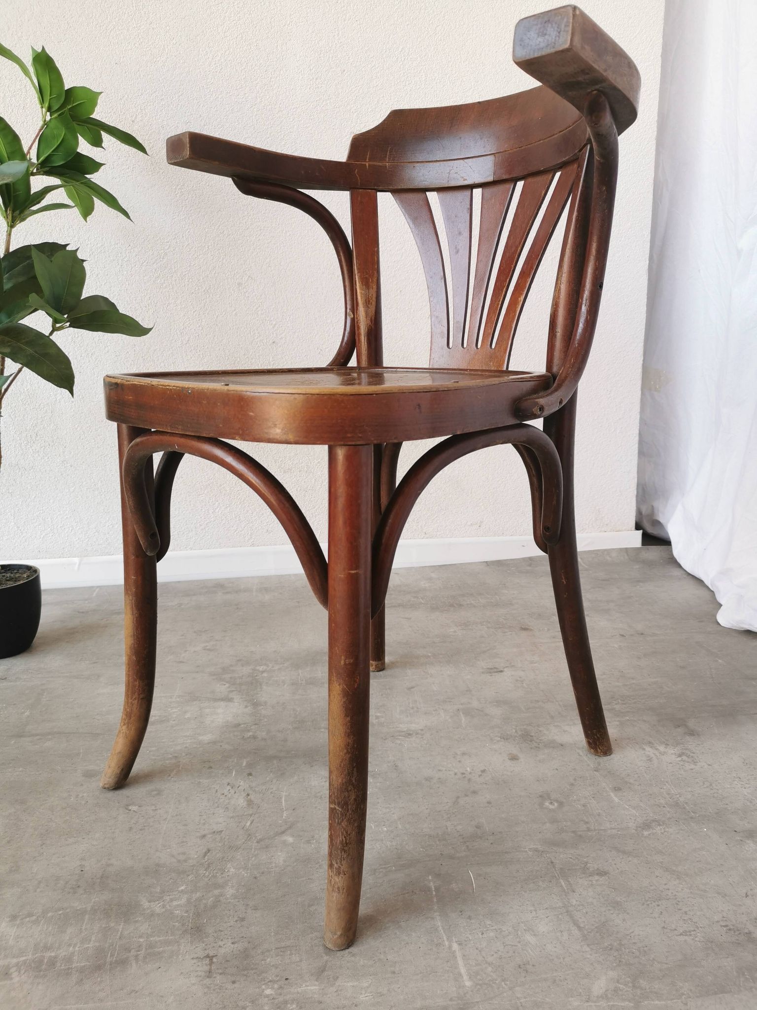 Vintage Bentwood Dining Chair: Mid-Century Thonet Style Armchair
