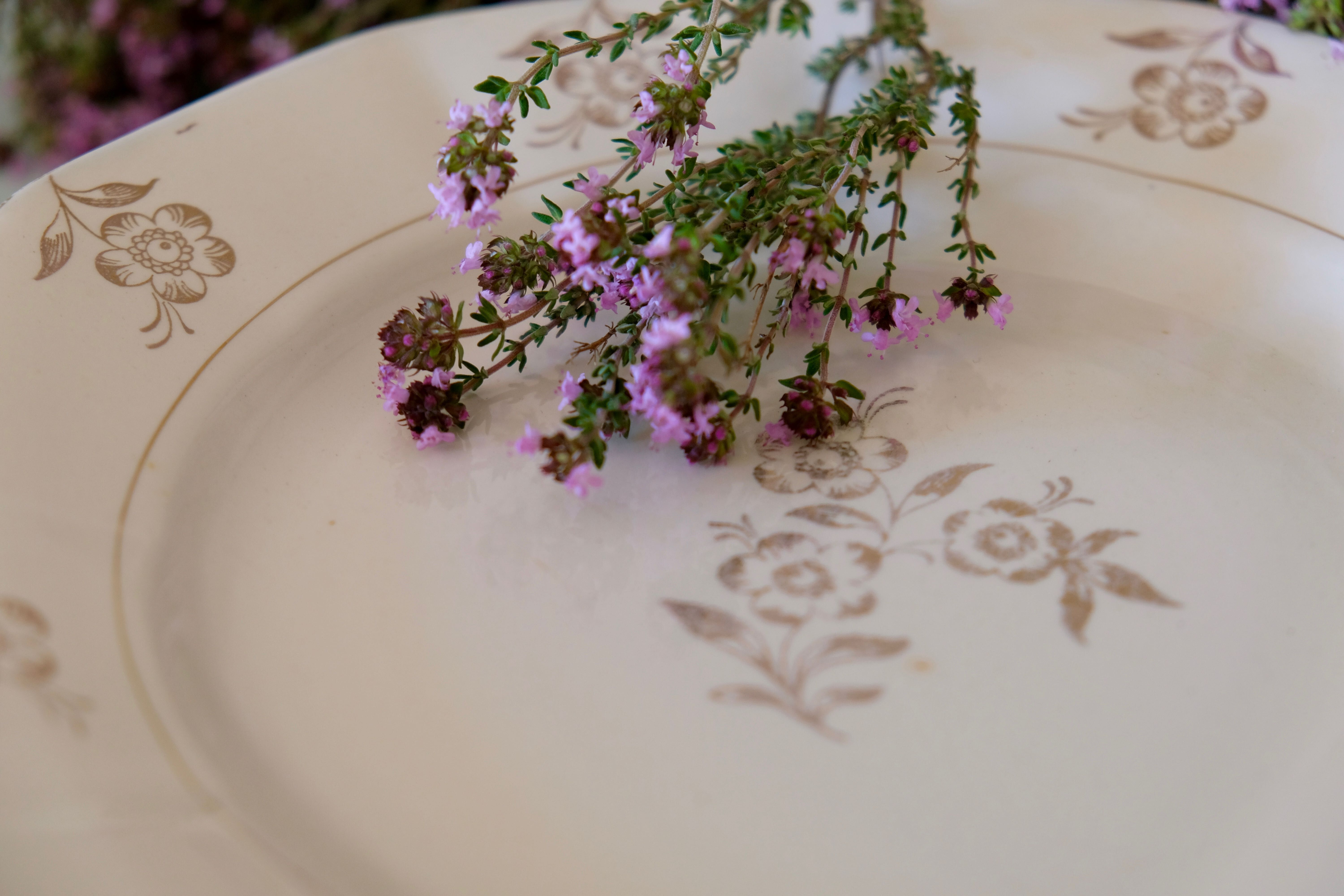 Set of opaque porcelain plates 'Raphael' from the French manufacturer Digoin-Sarreguemines