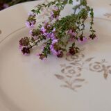 Set of opaque porcelain plates 'Raphael' from the French manufacturer Digoin-Sarreguemines