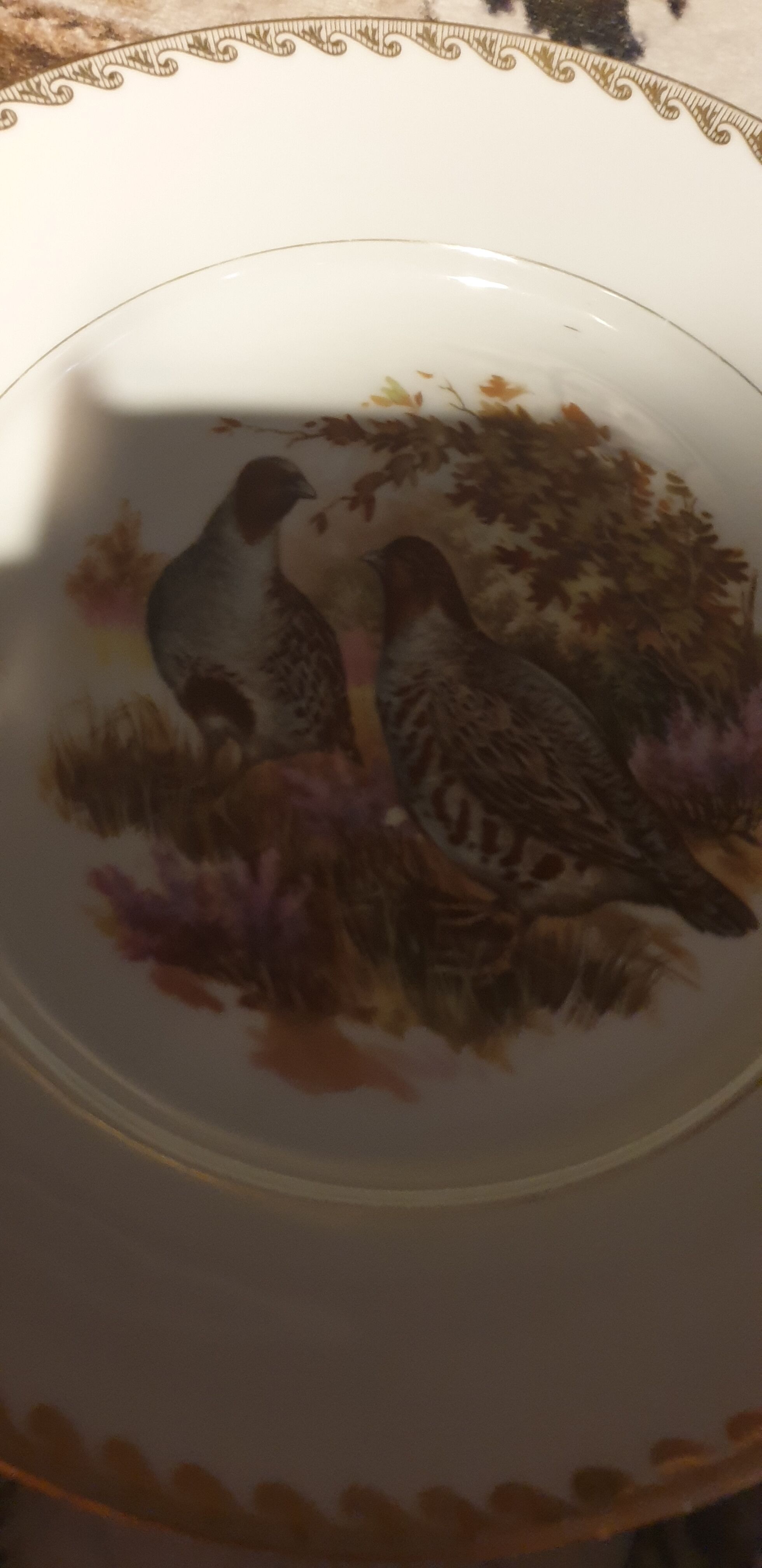 Lot de 24 assiettes plates scènes de gibiers