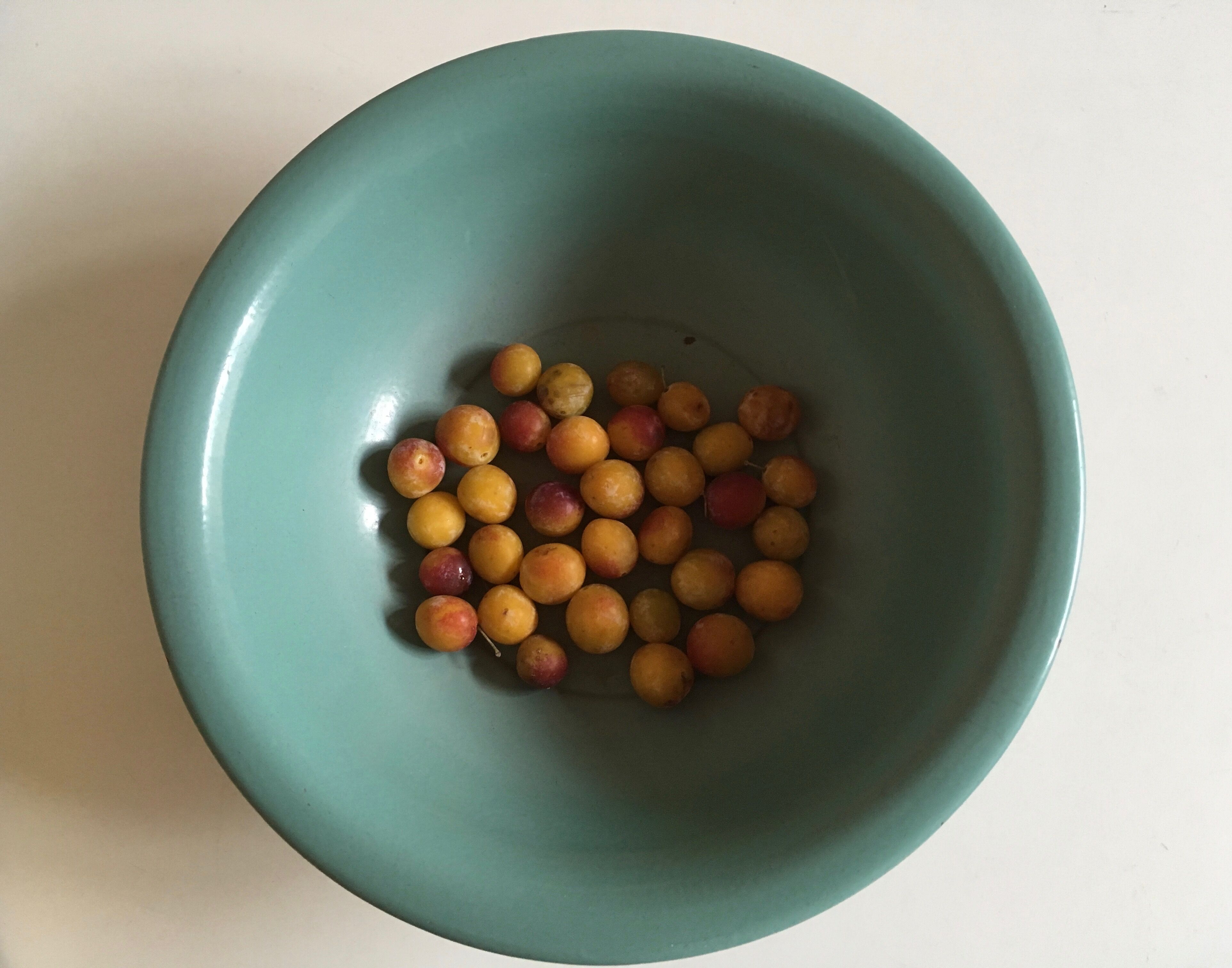 Dish plate glazed turquoise green farm, years 50