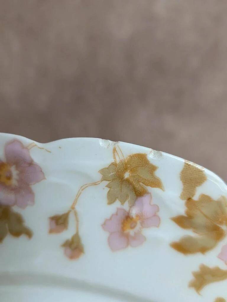 Set of 6 vintage French porcelain plates – pink floral design