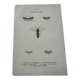 Naturalist plate insect entomology old lithograph