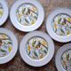 6 antique dessert plates with Toucan decor
