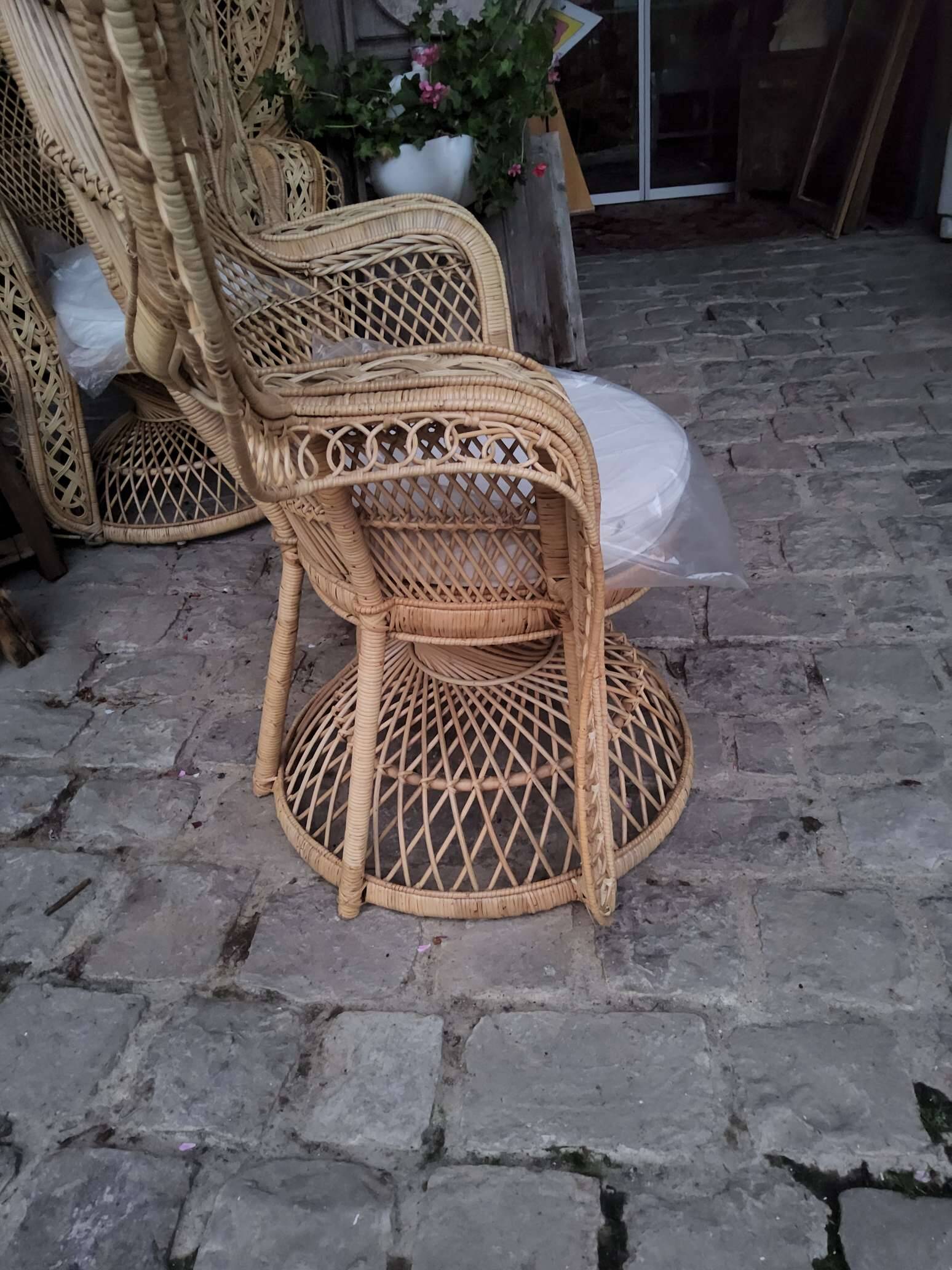 Pair of Emmanuelle armchairs