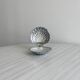 Shell butter dish