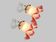 Pair of porcelain wall lights with pink glass tulips, Art Deco.
