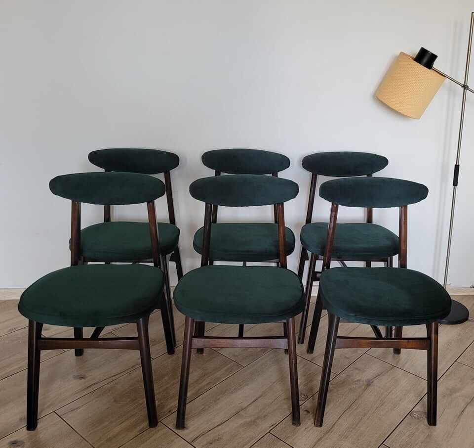Ensemble de 6 chaises conçues par T. Halas vintage 60