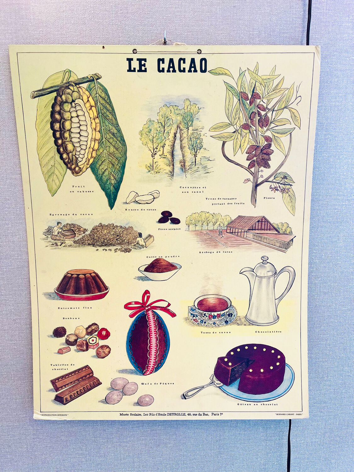 Vintage school poster cocoa – Émile Deyrolle Paris 1970s