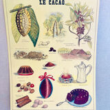 Vintage school poster cocoa – Émile Deyrolle Paris 1970s