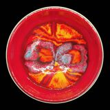 Bowl Carol Cutler Pool Delphis English