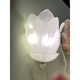 Contemporary Venetian Sanded Murano Glass Floreal Wall Sconces-Set of Two