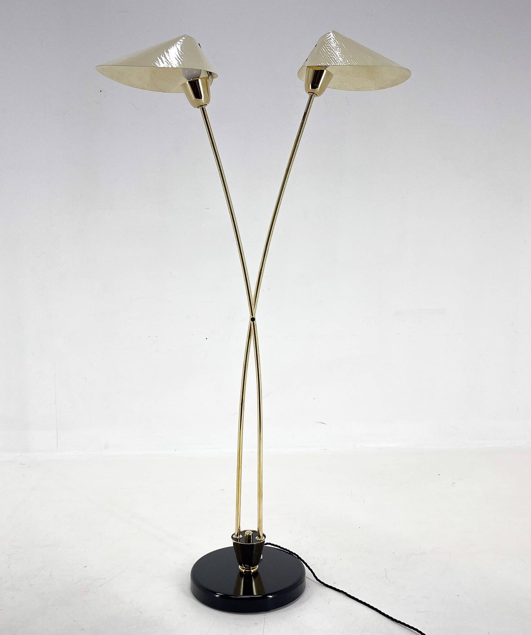 Mid-century Brass Floor Lamp by Napako, 1960s