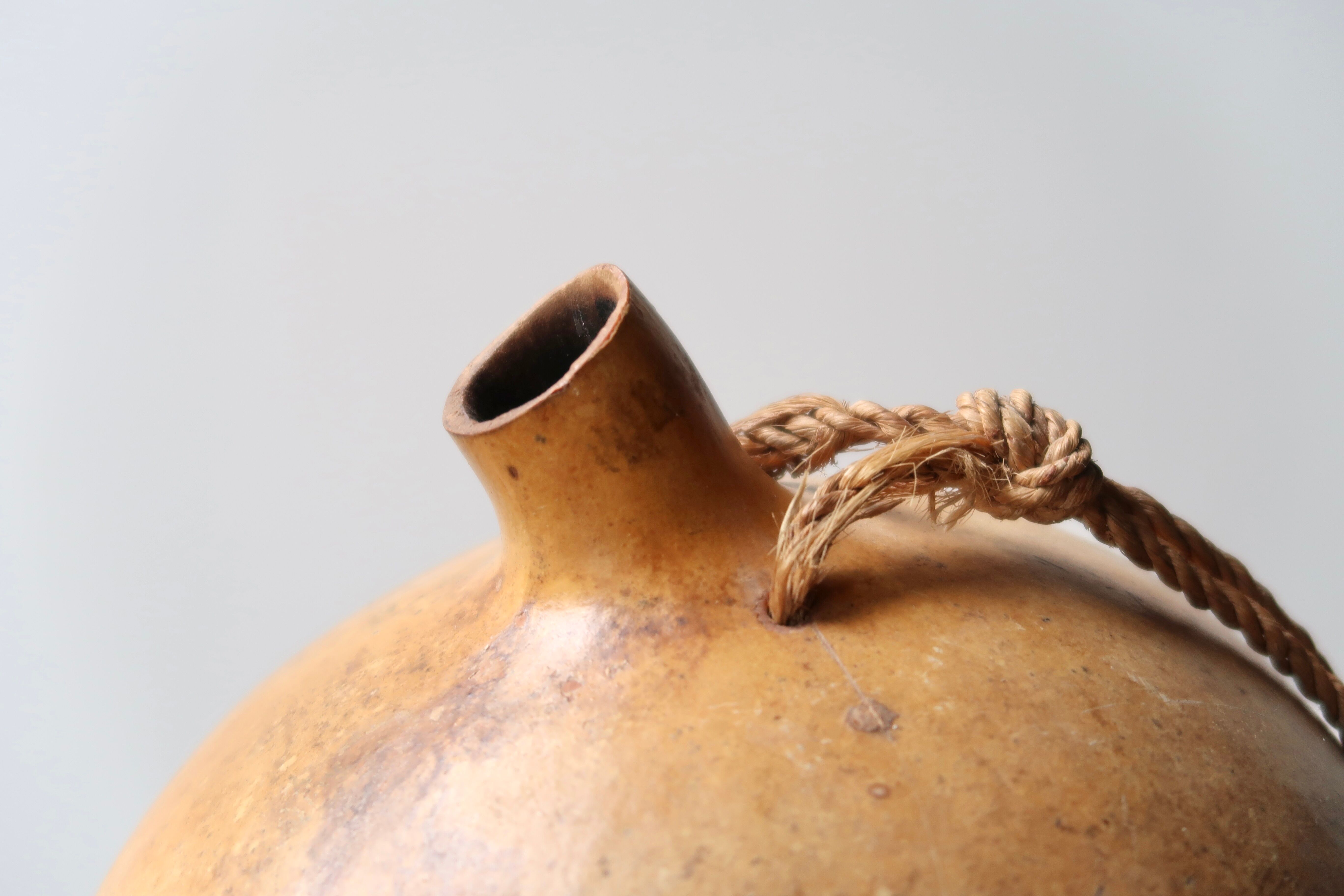 Vase calebasse en bois avec corde, années 50