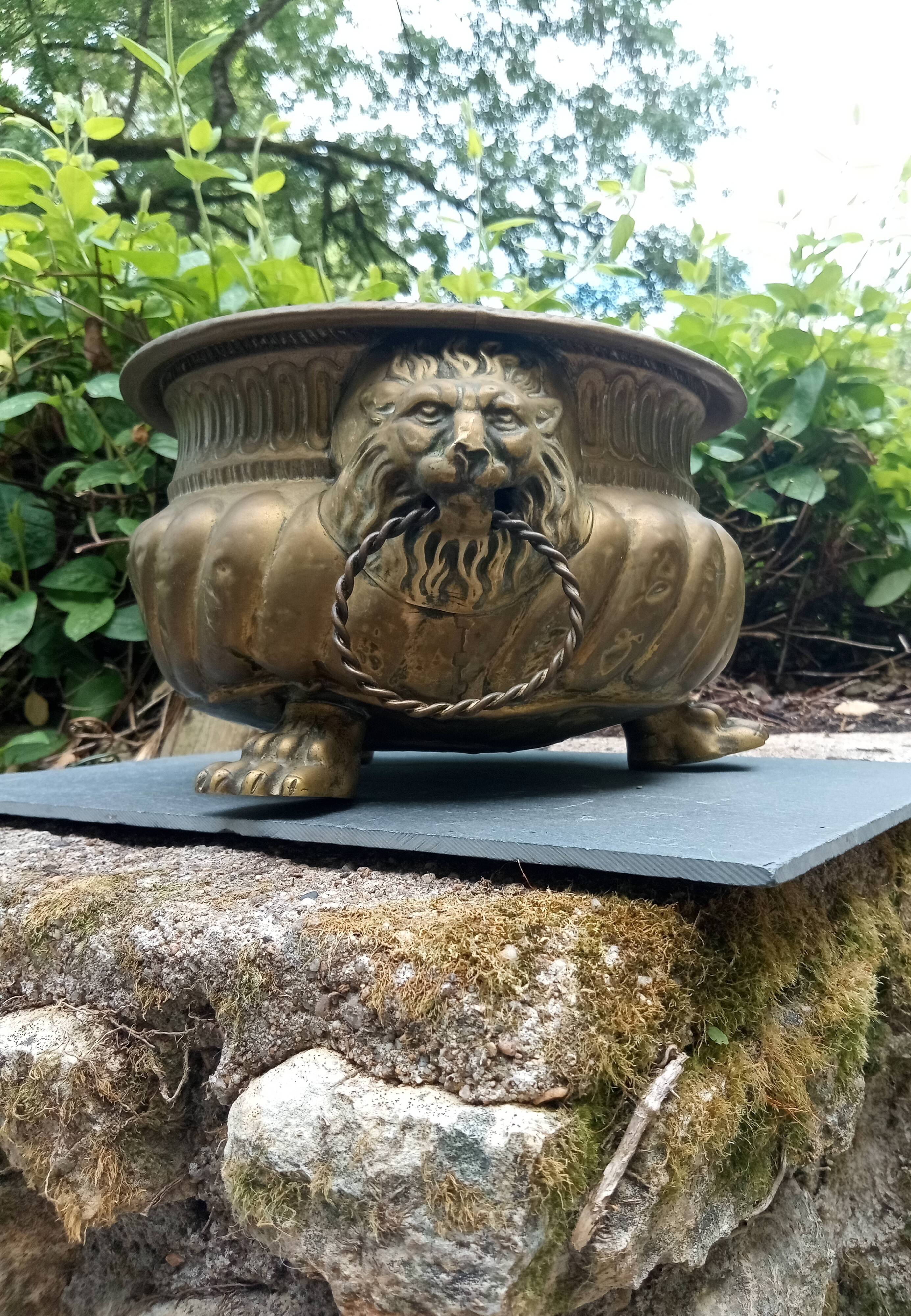 Large brass lion planter 19th century