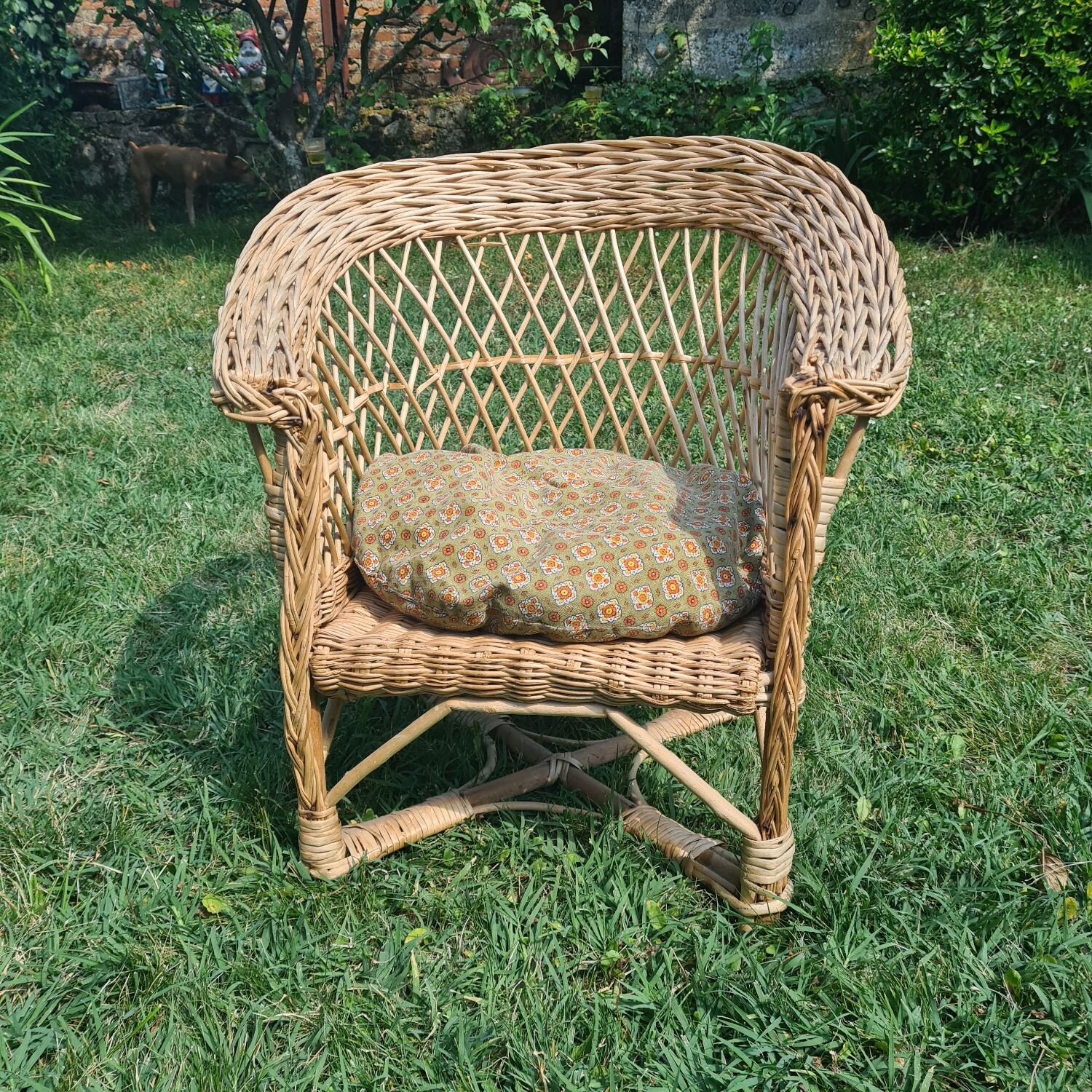 Rattan armchair with cushion