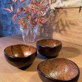 Coconut bowls