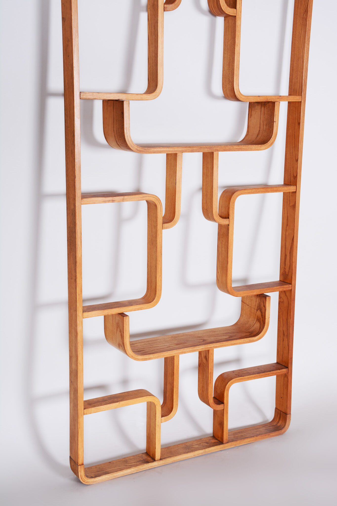 Ash Room Divider Wall Unit, Ludvik Volak for Drevopodnik Holesov, 1960s