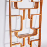 Ash Room Divider Wall Unit, Ludvik Volak for Drevopodnik Holesov, 1960s
