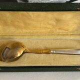 Ladle with punches