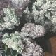 Painting "Lilacs in a vase"