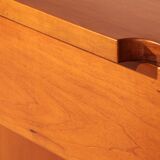 Torbecchia sideboard in walnut by Giovanni Michelucci for Poltronova, 1964