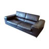 Roche bobois sofa