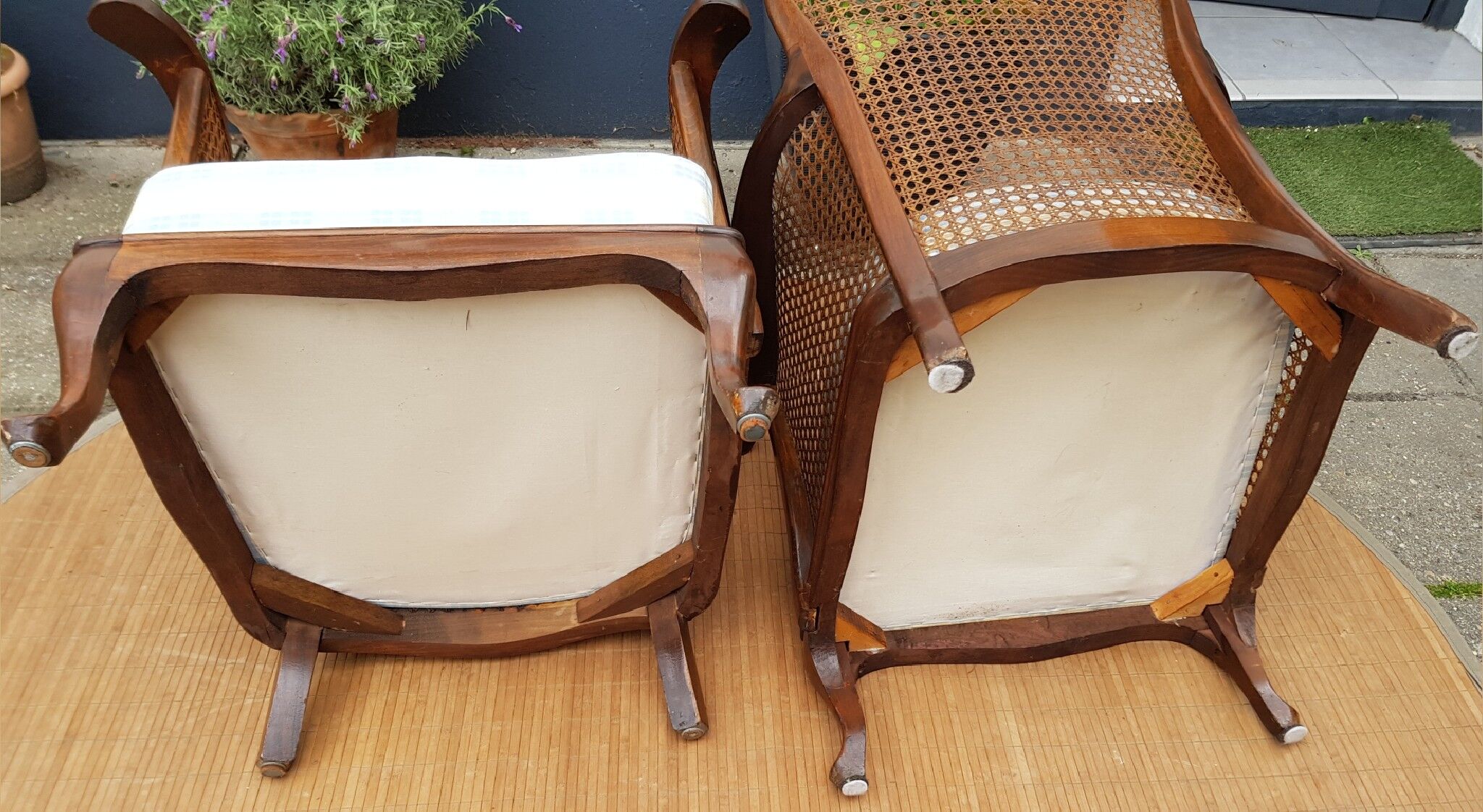 English canine armchair