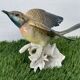 Oiseau numéroté et signé Karl Ens, en porcelaine de Saxe, XIXème siècle