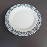 Dish on saline iron earth pedestal
