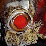 Vintage compartment plate Vallauris